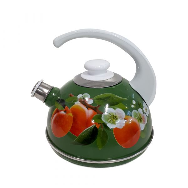 Kettle 2.5L T04/25/07/31/H03 green/apricot handle (decor-stainless steel on white)